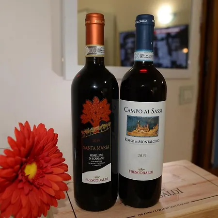 게스트하우스 Emilios Triple In Our Cozy And Comfortable Establishment 로마
